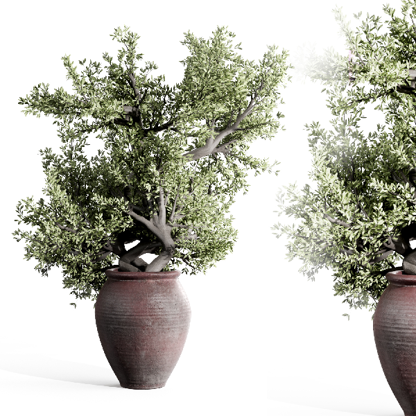Wabi-Sabi Potted Plant
