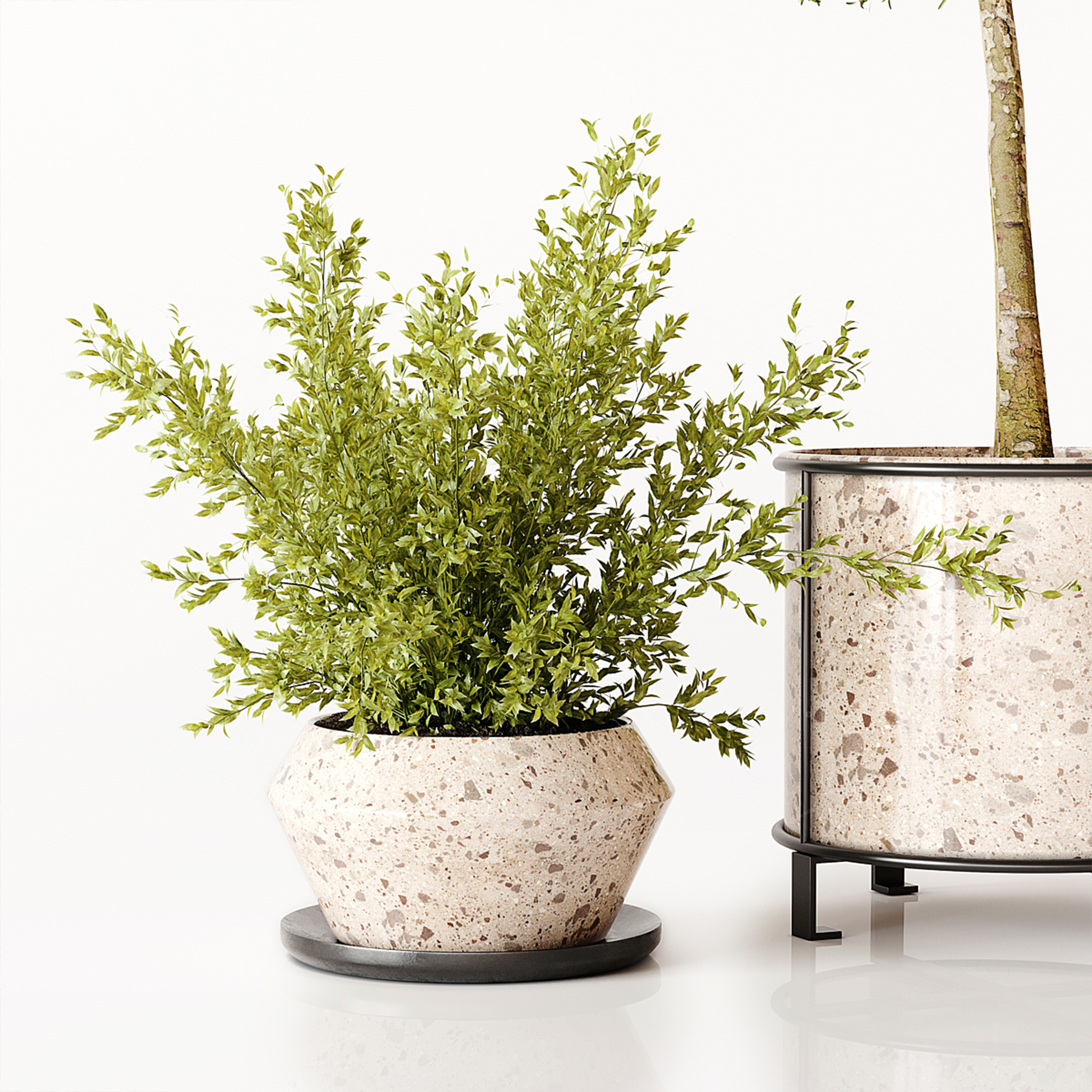 Greenery 3D Models 2