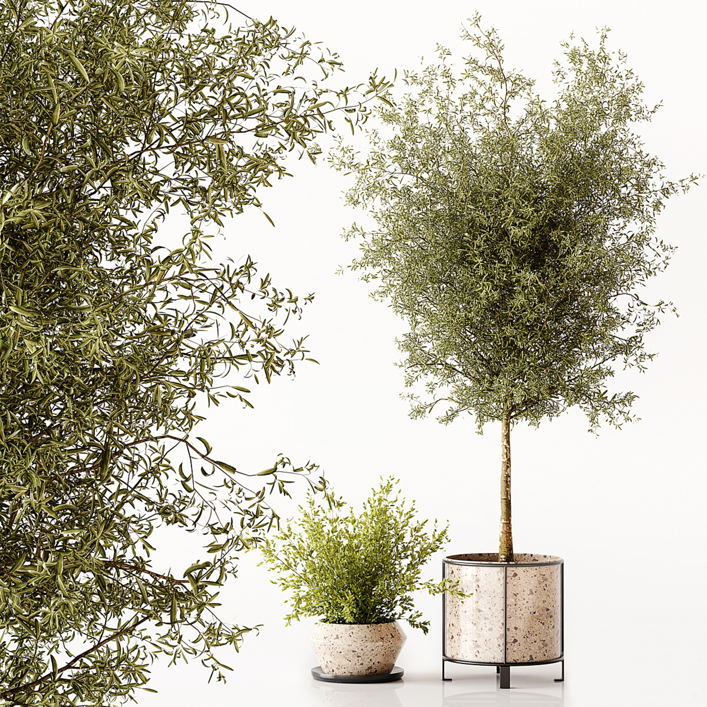 Greenery 3D Models