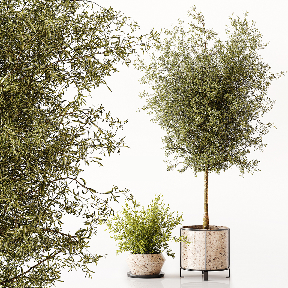 Mid-Century Modern Potted Plant