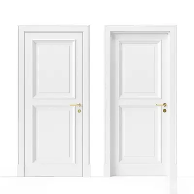 Modern French Single Door