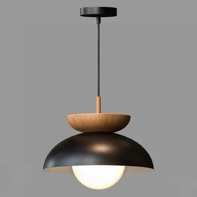 Wood And Metal Pendant Lamp 3d model