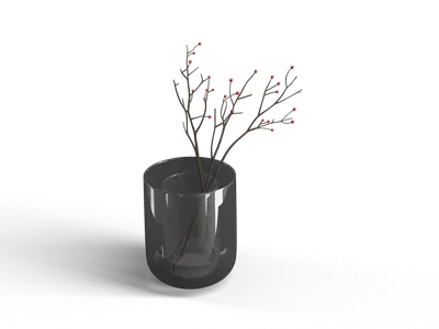 Minimalist Black Glass Vase With Branches 3d model