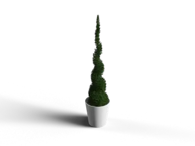Modern Potted Plant