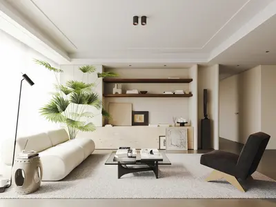 Contemporary Home Living Room