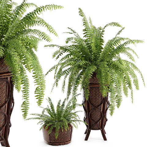 Mid-Century Modern Potted Plant