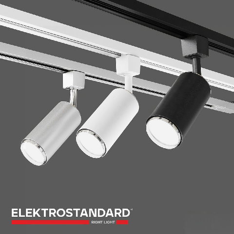 Modern Downlight & Spotlight