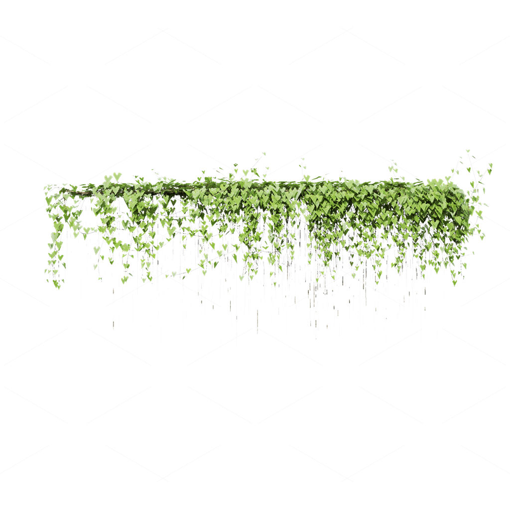 Climbing Plants 3D Models
