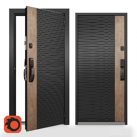 Modern Single Door
