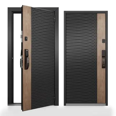 Wood And Black Slatted Modern Entry Door 3d model