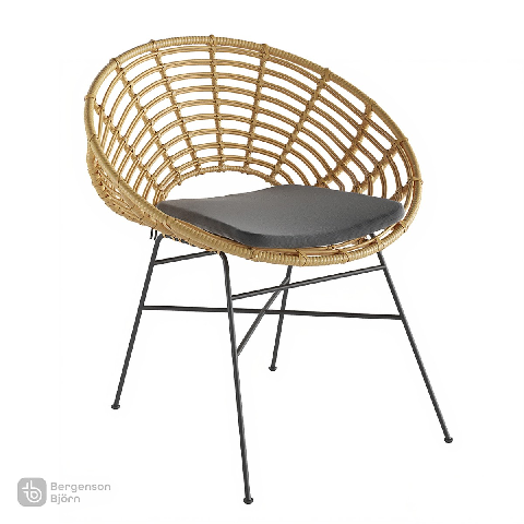 Modern Outdoor Chair