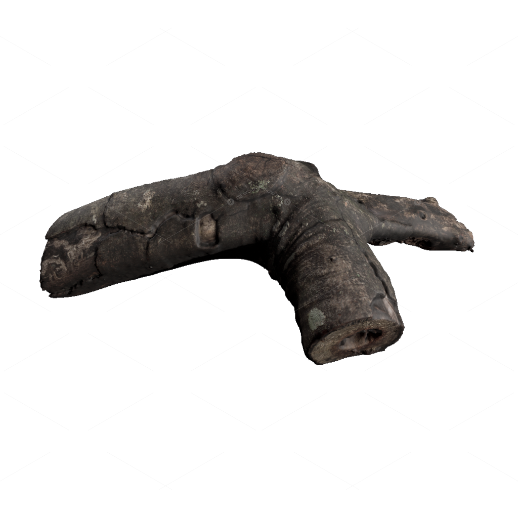 Other Botanicals 3D Models
