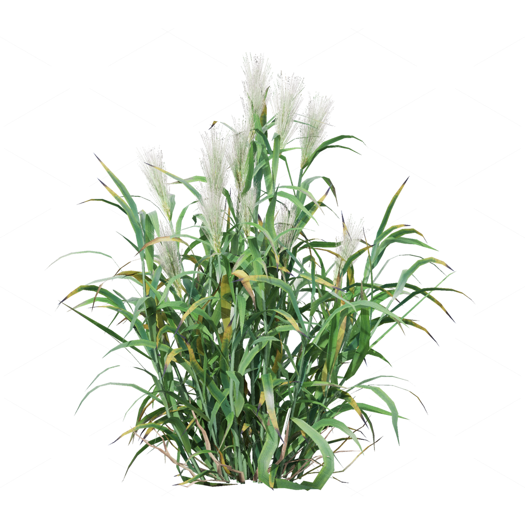Crops 3D Models