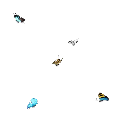 Butterfly 01 3d model