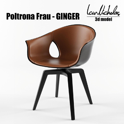 Modern Chairs 