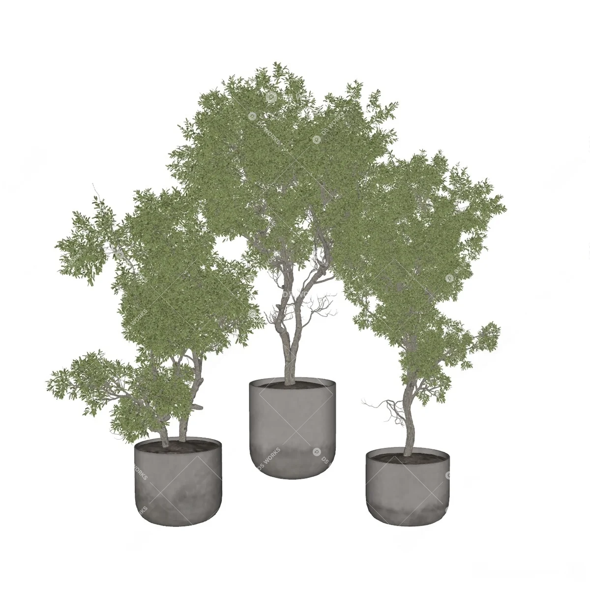 Contemporary Potted Plant 3d model thumbnail 2