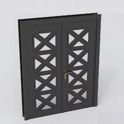 Modern Double Door