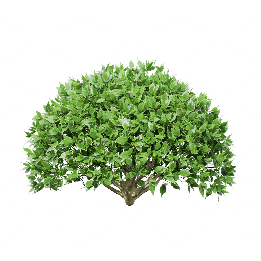 Crops 3D Models