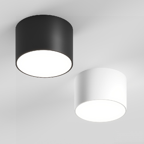 Modern Flush Mount Light