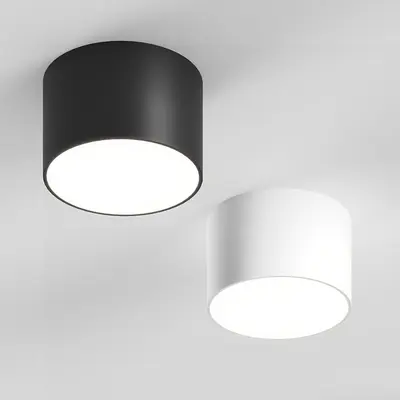 Modern Downlight & Spotlight
