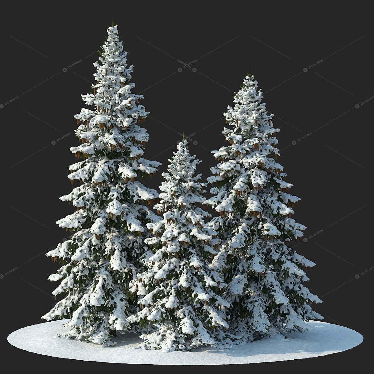 Trees 3D Models