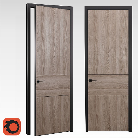 Modern Single Door