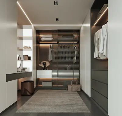 Modern Walk-in Closet