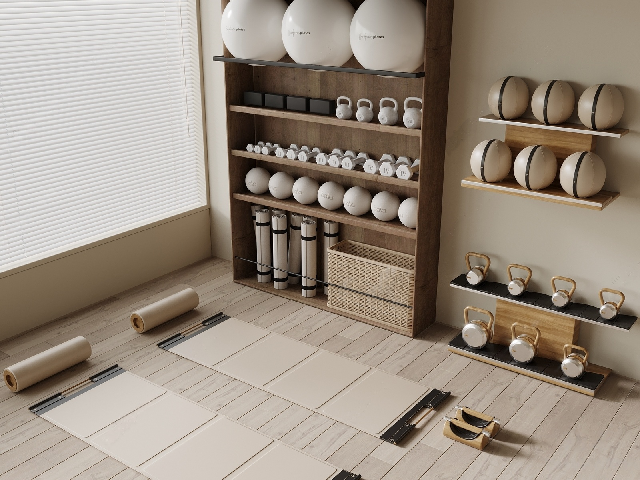 Modern Home Gym