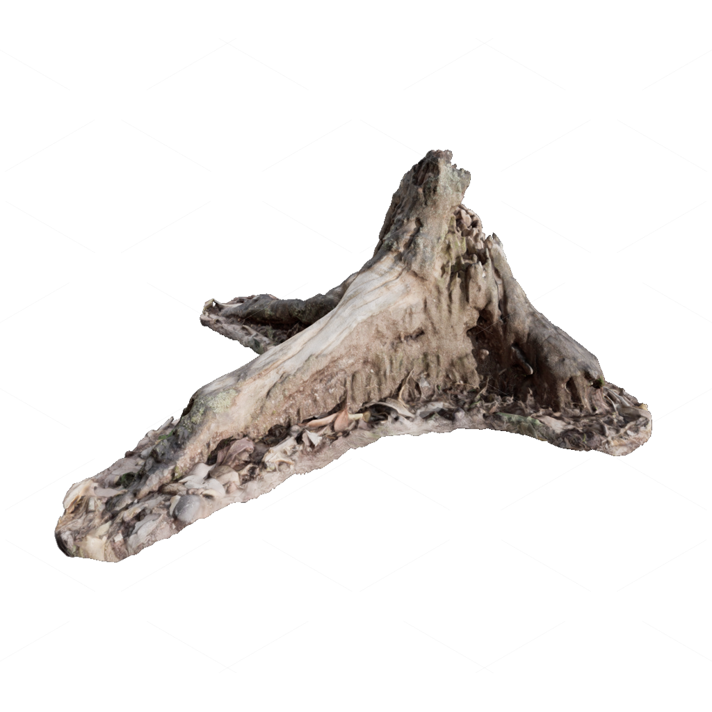 Other Botanicals 3D Models