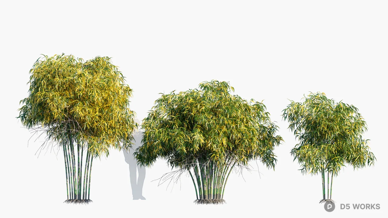 Bamboo Plant 3d model - Image 1