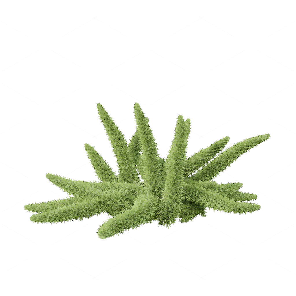 Flowers 3D Models