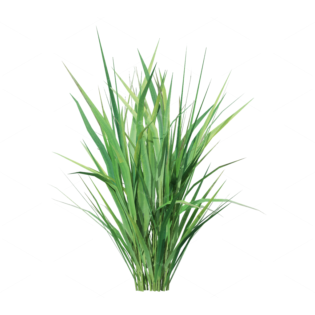 Crops 3D Models