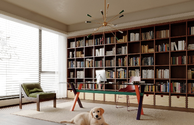 Mid-Century Modern Study Room