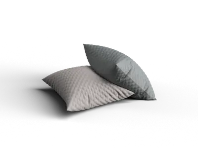 Modern Cushion