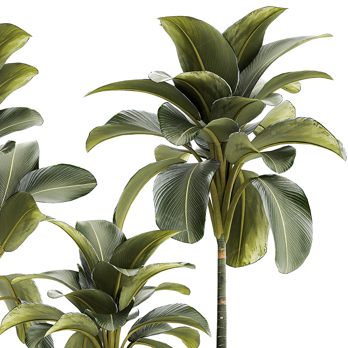 Greenery 3D Models 2