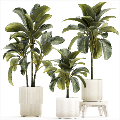 Modern Potted Plant