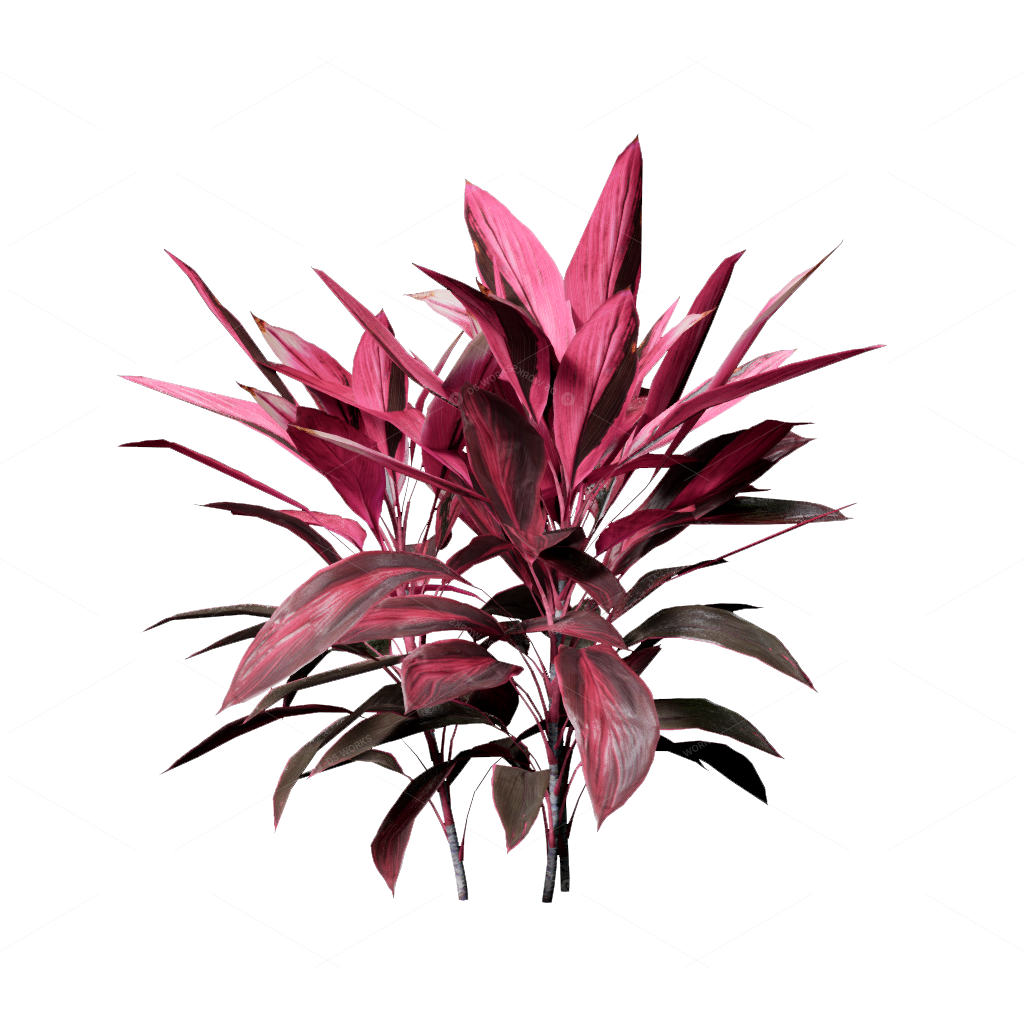 Shrubs 3D Models