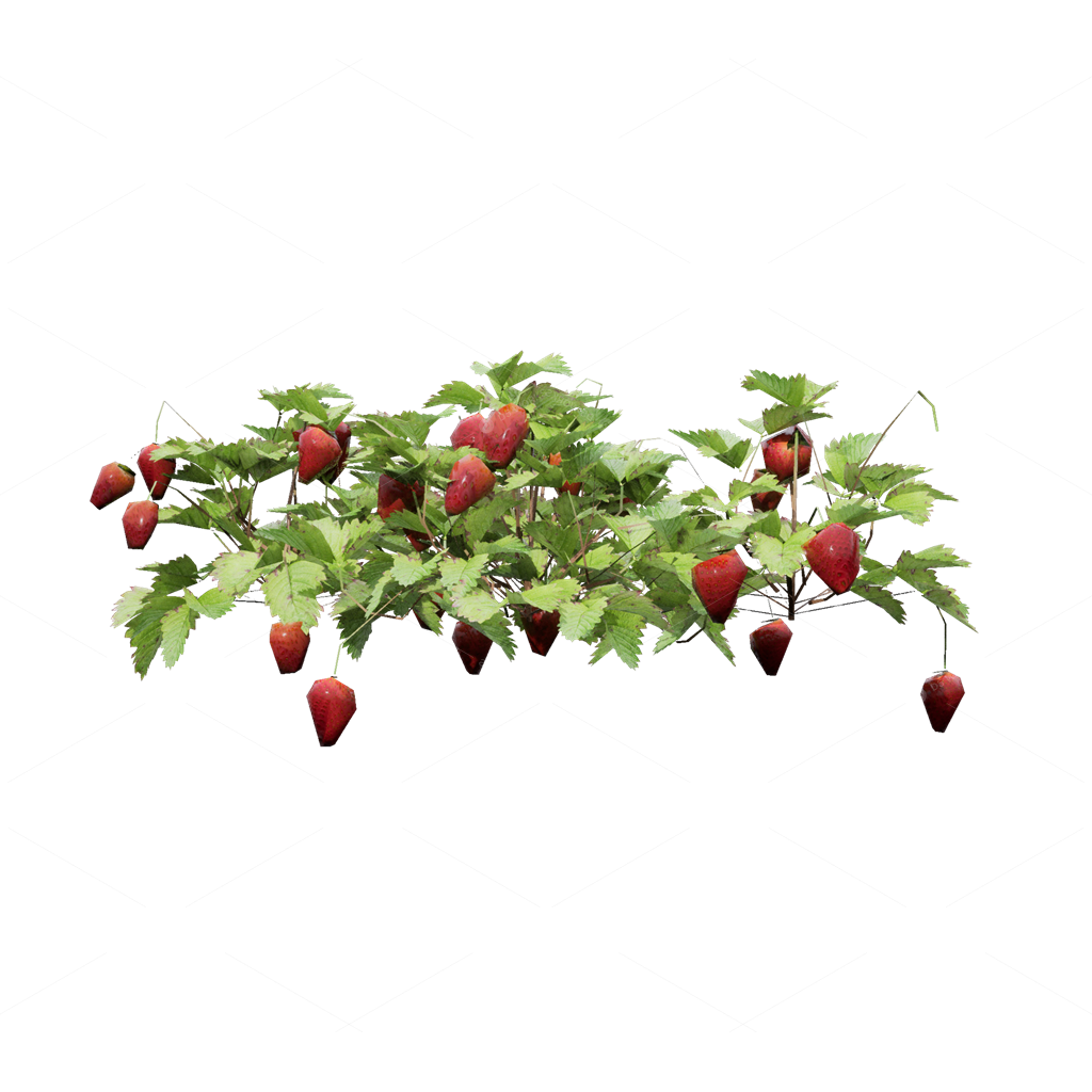 Crops 3D Models