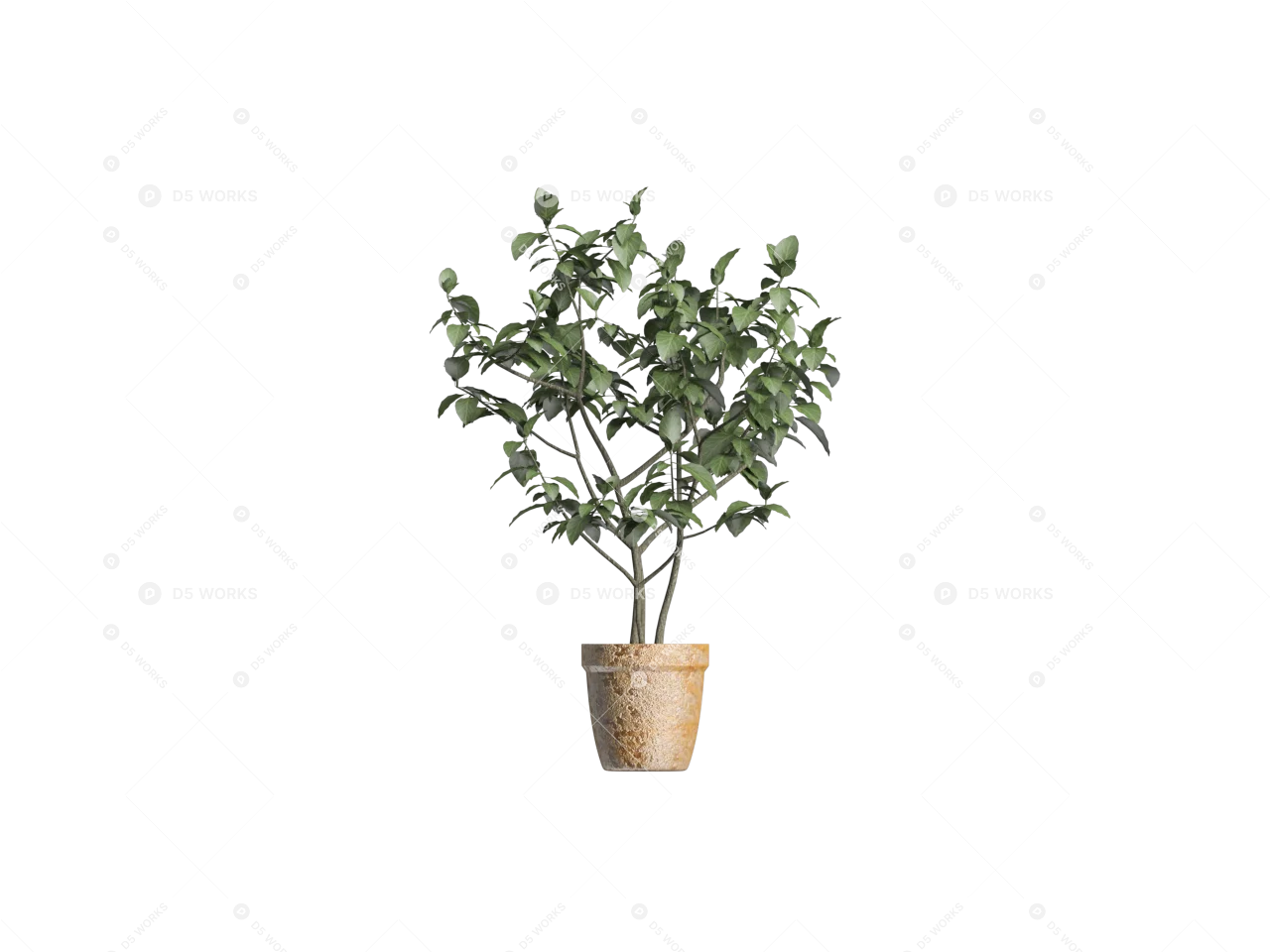Potted Plant 3d model thumbnail 2