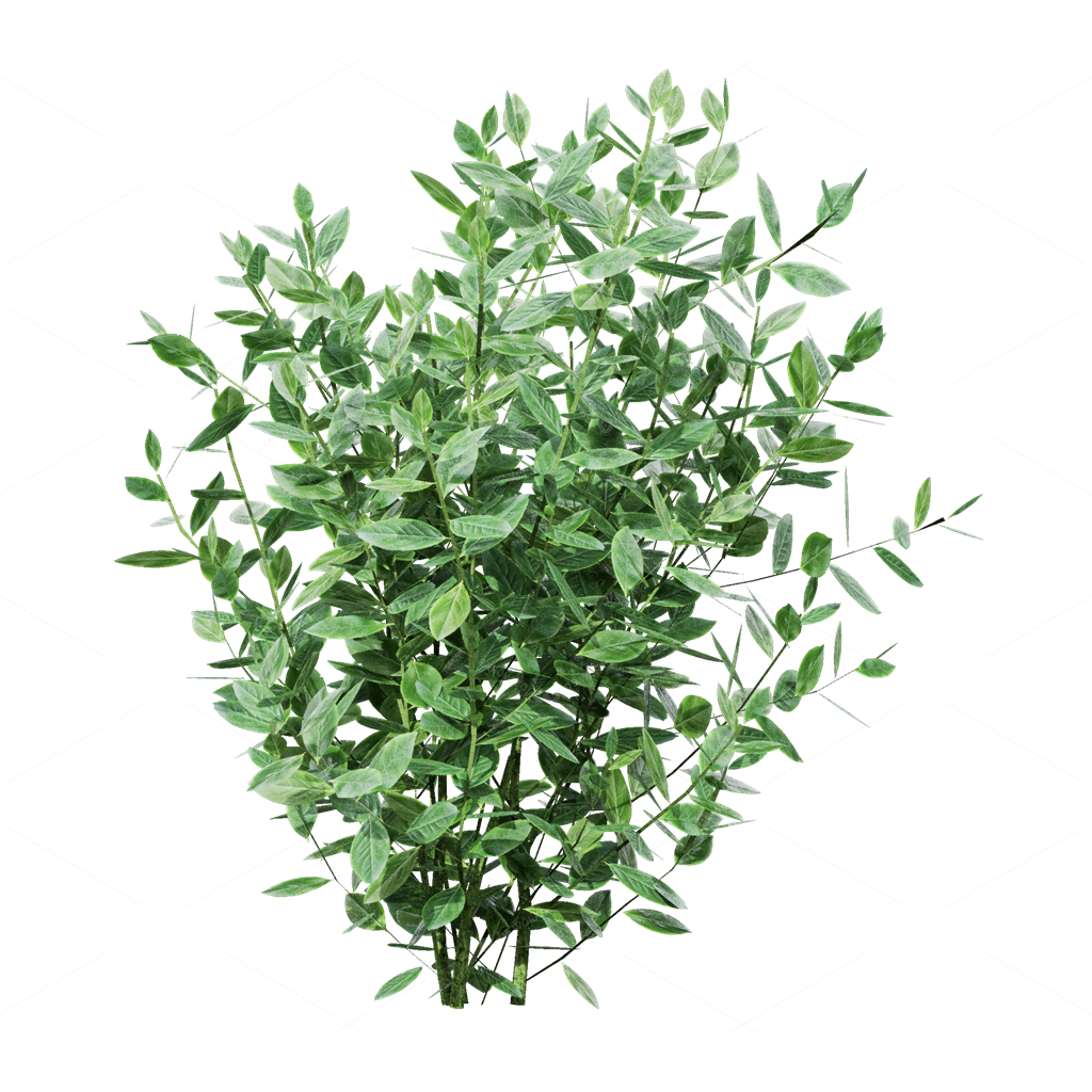 Crops 3D Models