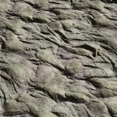 Grey Mossy Cliff Rock