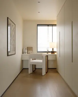 Modern Walk-in Closet