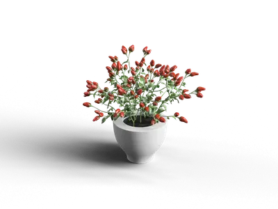 Modern Potted Plant