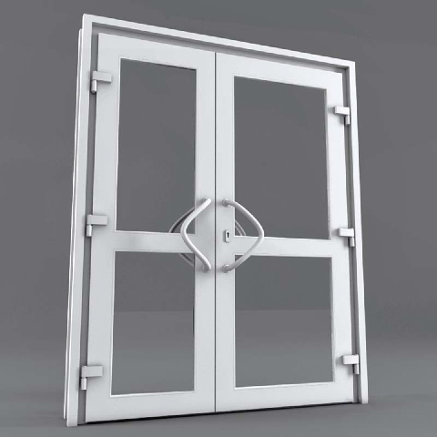 Modern Double Door
