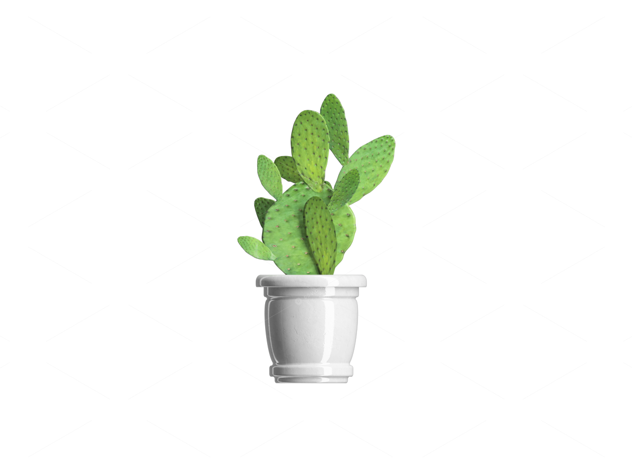Greenery 3D Models 2