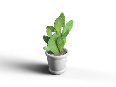 Modern Potted Plant