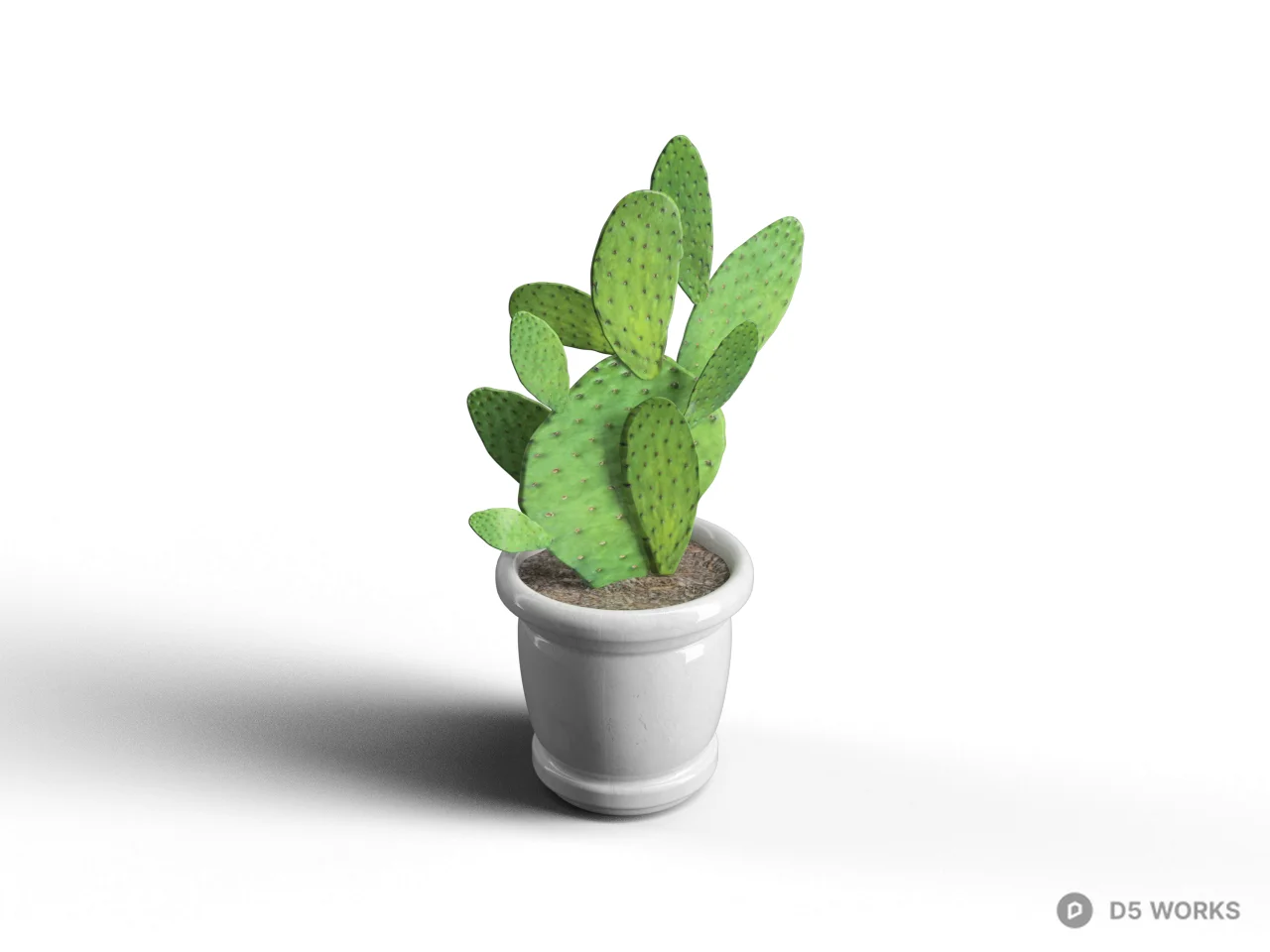 Potted Cactus Plant 3d model - Image 1