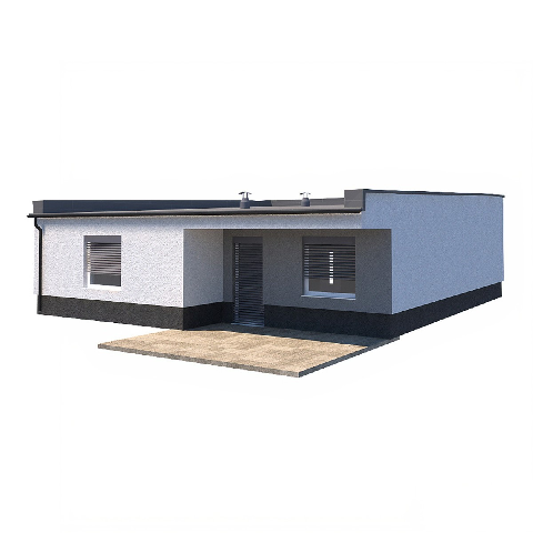 Modern Single-Story House