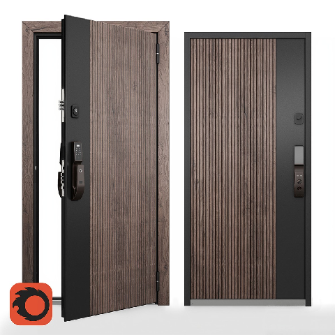 Modern Single Door