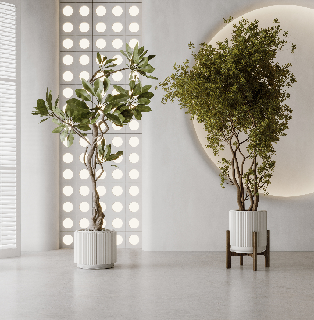 Modern Potted Plant